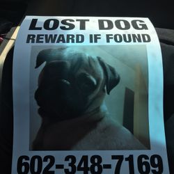 Please Help Us Find Him