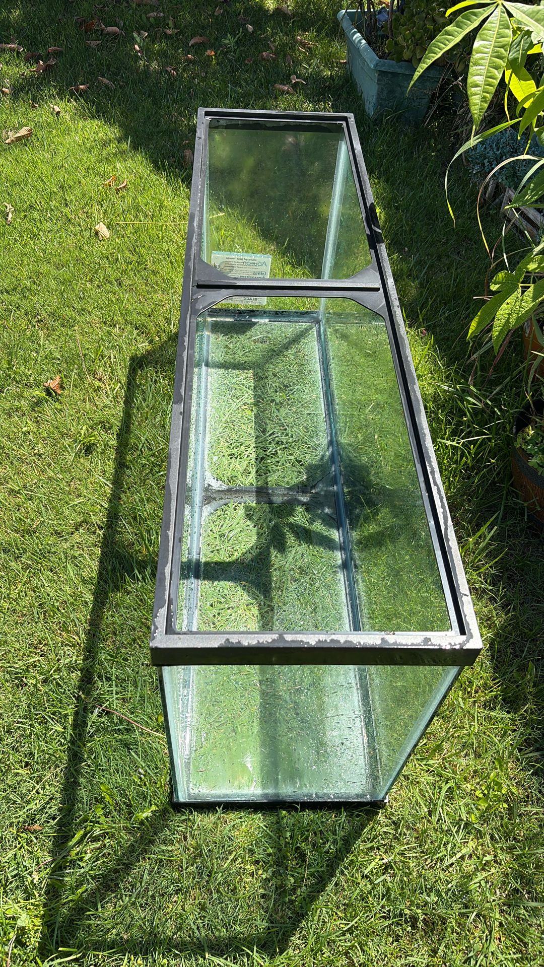 55 Large Tank For Fish/turtle