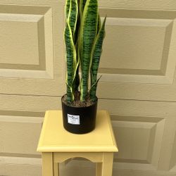 Bombay Co Display Stand 