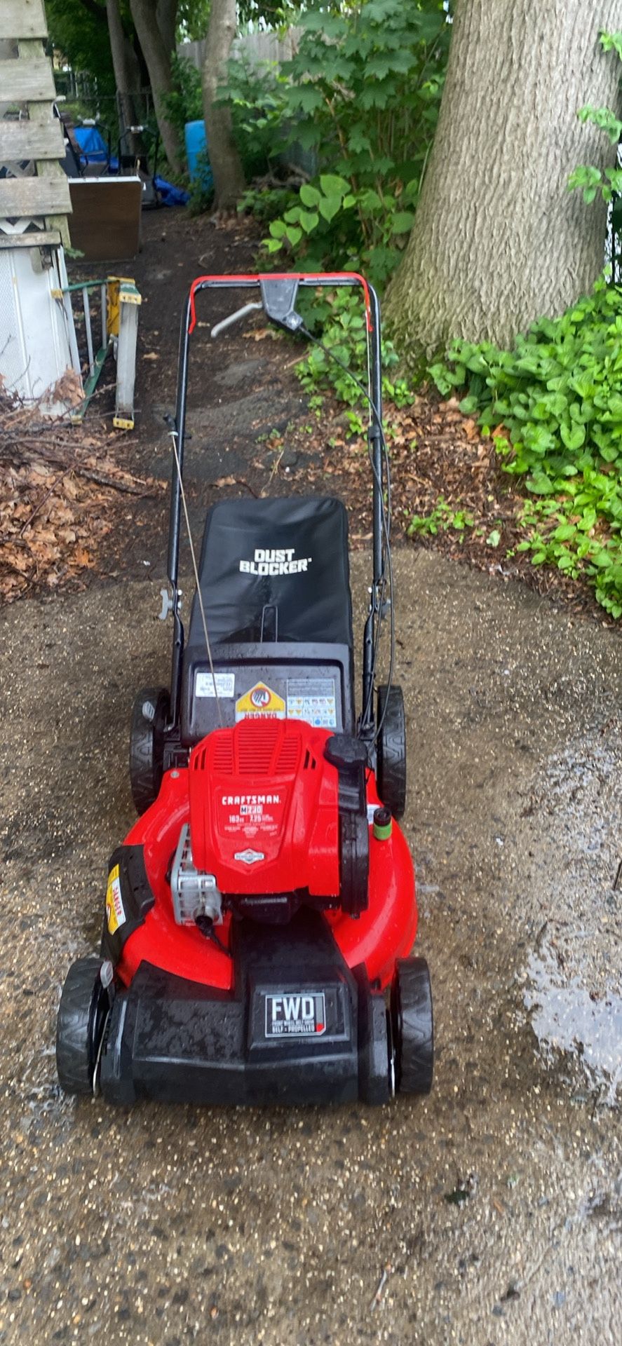 Craftsman M230 Self Propelled 163 CC 7.25 Mulch Rear Bagger