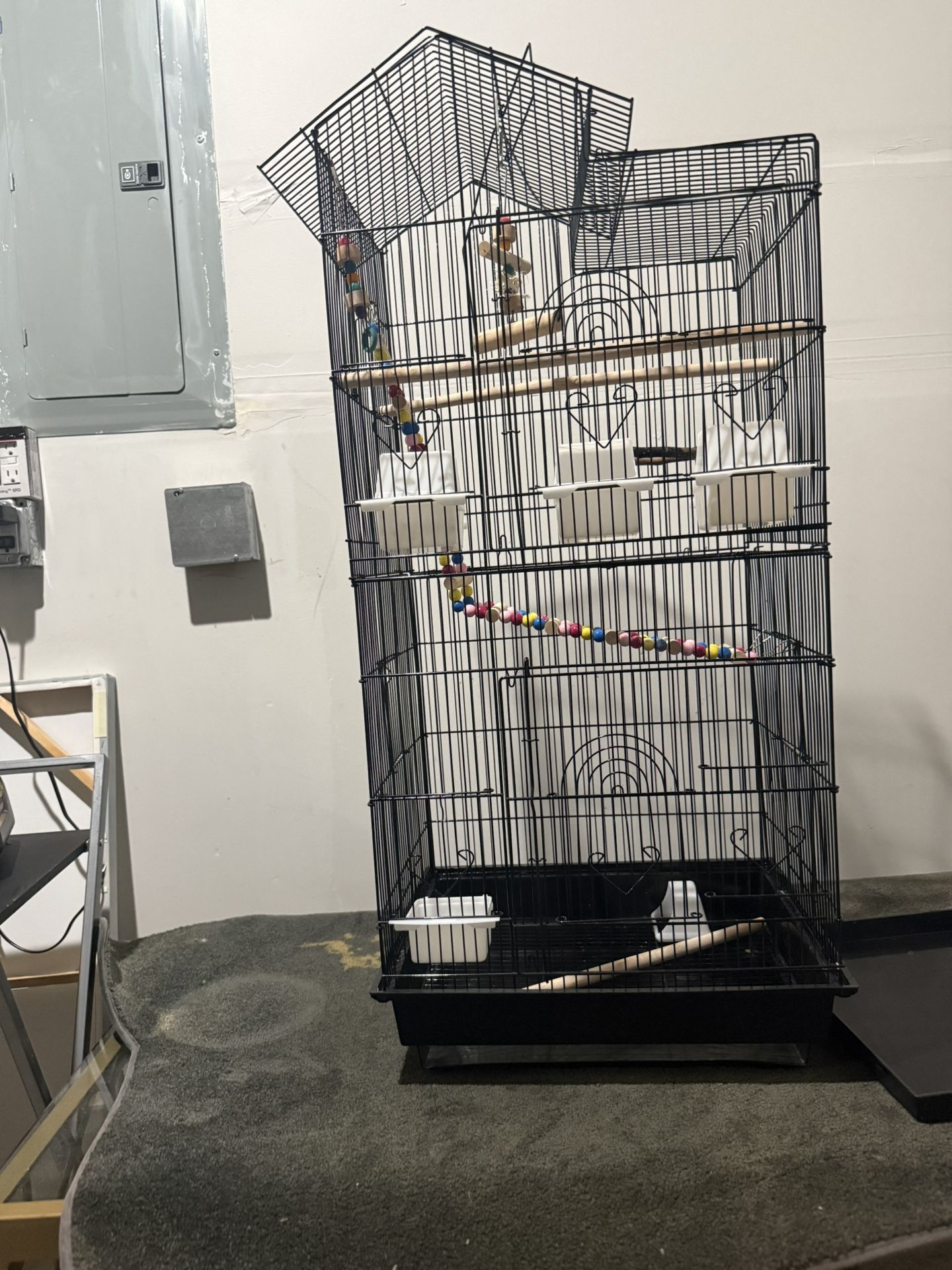 Bird Cage
