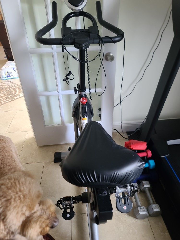 Spin Bike