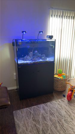 Red Sea Reefer 250