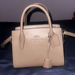 Coach Andrea Carryall Bag