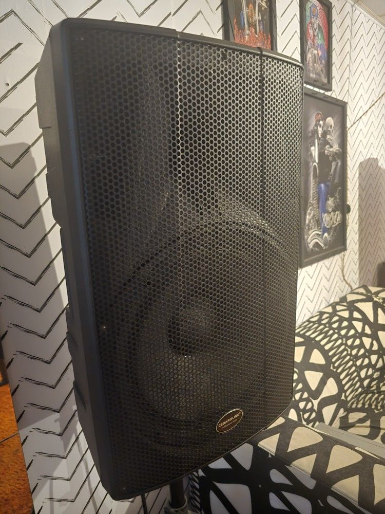 Cedarslink Professional Audio 15' Woffer With Stands