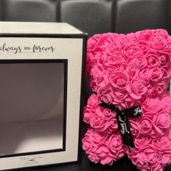 Always and Forever Flower Bear NEW