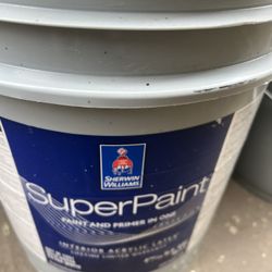 New Paint