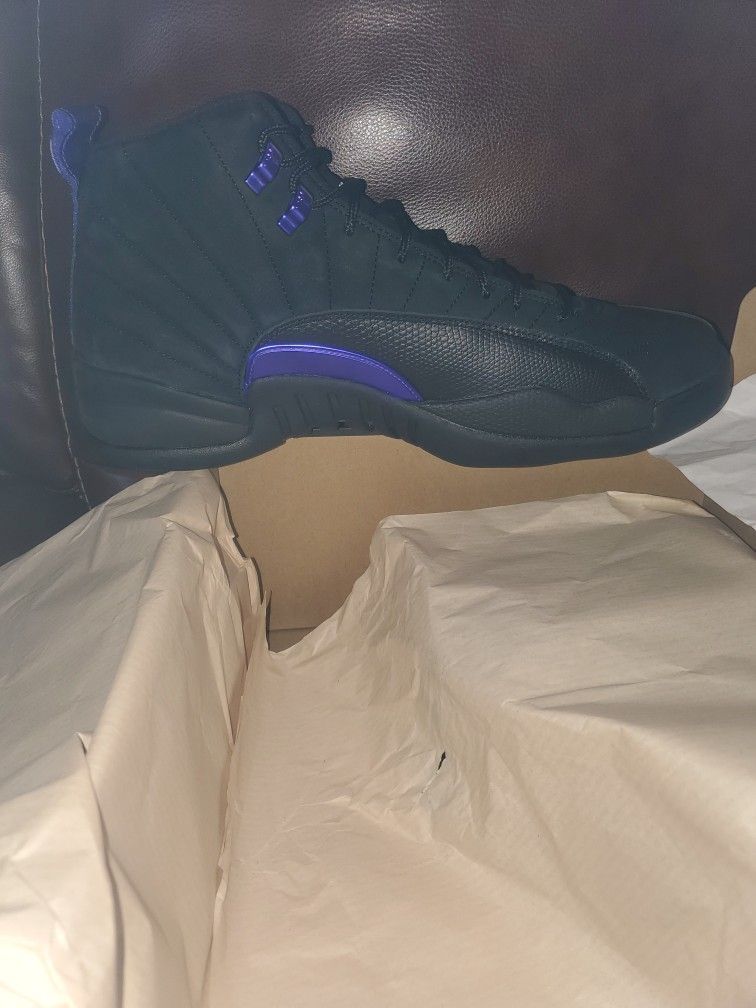 Brand New RETRO12 Concord. Have Receipt.