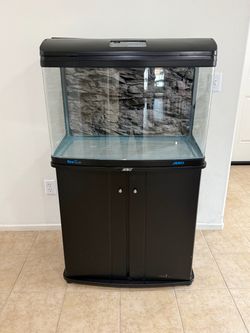 40 gallon aquarium tank