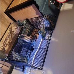 Rat/small Animal Cage