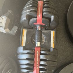 Bowflex Adjustable Dumbbells - Pair
