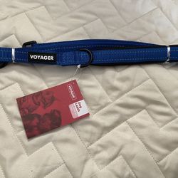 New Leash