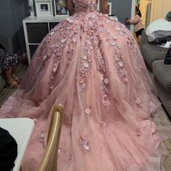 Quinceañera Dresss 