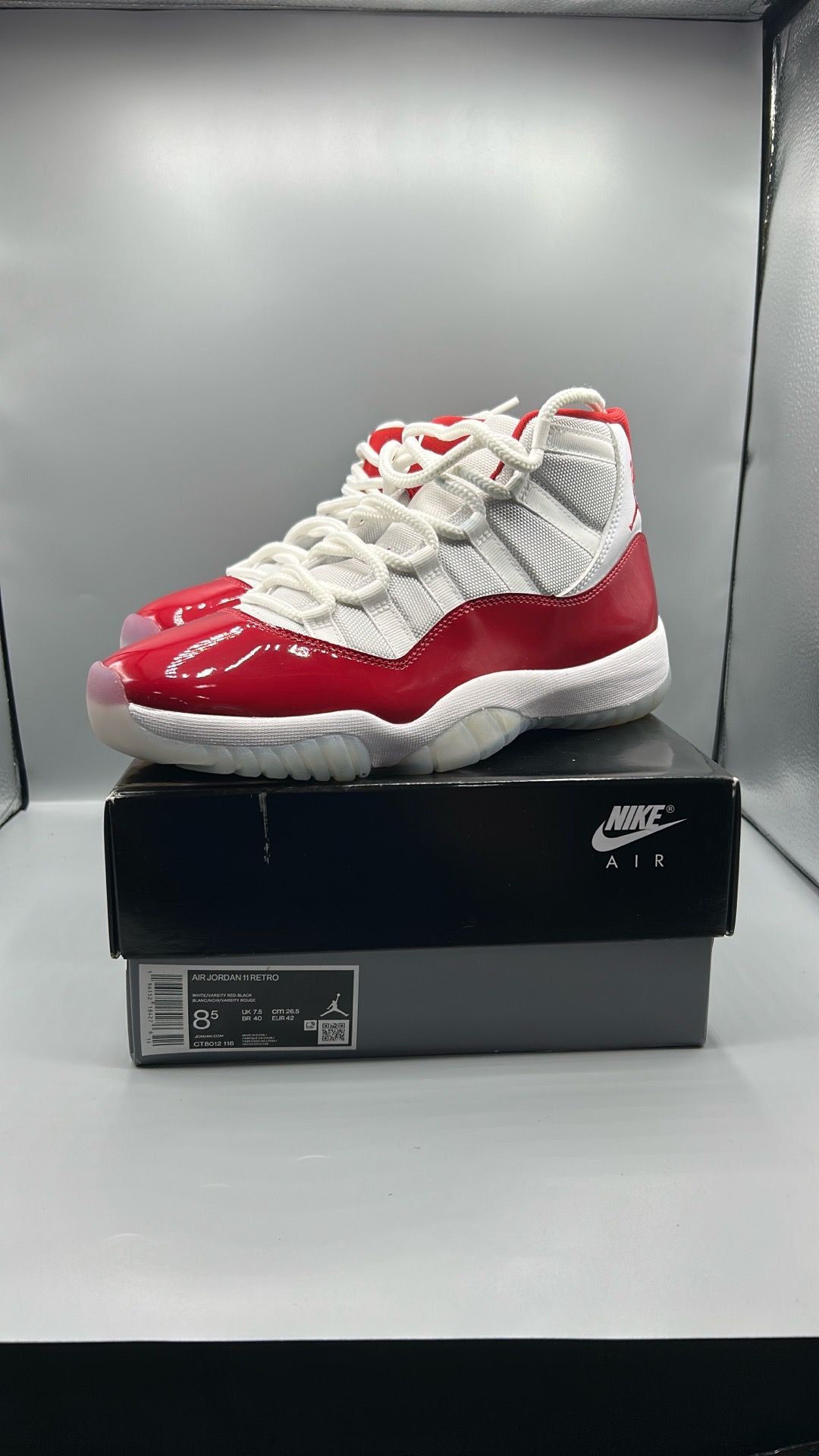 Air Jordan Retro 11