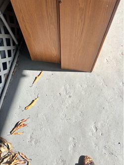 Wood kitchen Caninets