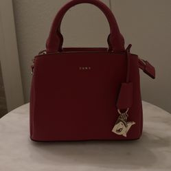 DKNY Paige Small Satchel