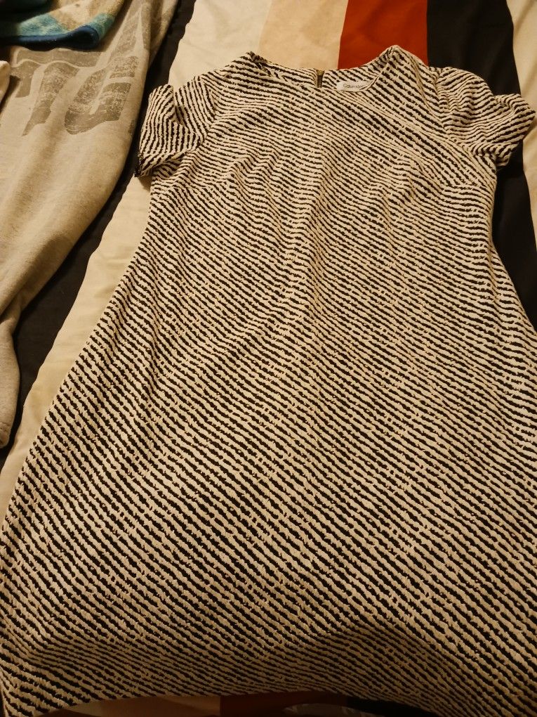 Ladys Dress Calvin Klein Size 10