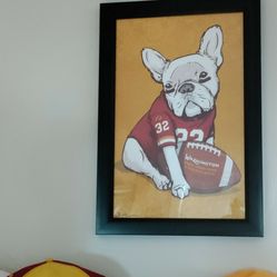 Washington Redskins Picture