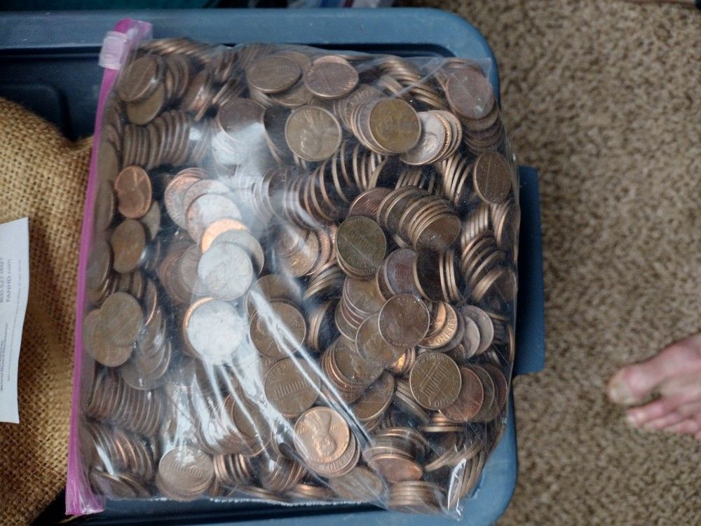 Copper Pennies 