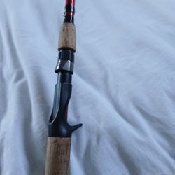 Berkley Casting Rod Medium Heavy
