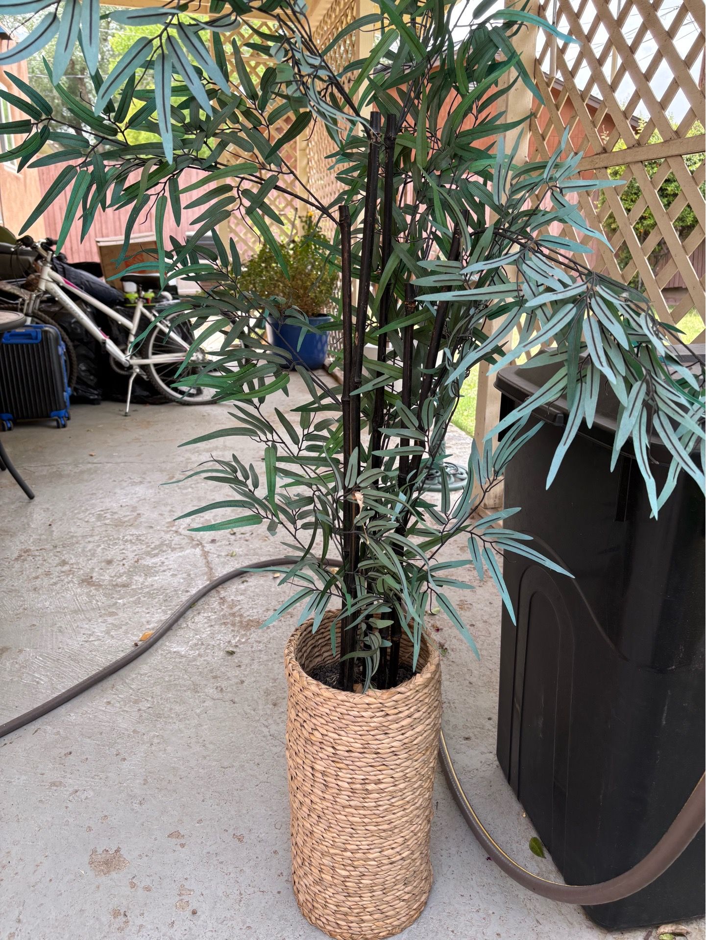 Plant