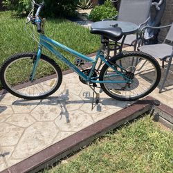 Nice Used Bike $50