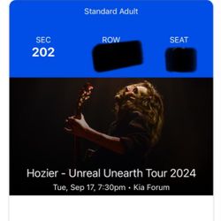 Hozier Unreal Unearth Tour 2024