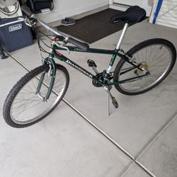 Adult Bicycle 