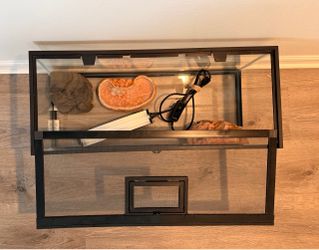 20-Gallon Reptile Tank + Decor + NEW UVB Light – $150