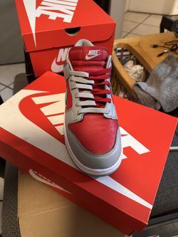 Brand New Nike Dunk Low