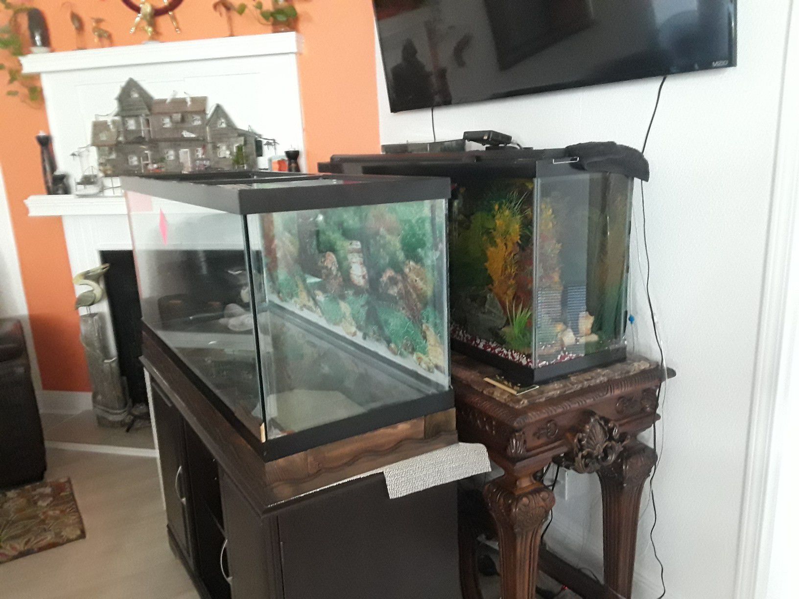 55gal Aquarium only upgrading and want to sell 55.