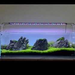 New 11 Gallon Aquarium