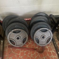 Weights / Squat Rack / Workout Equipment 