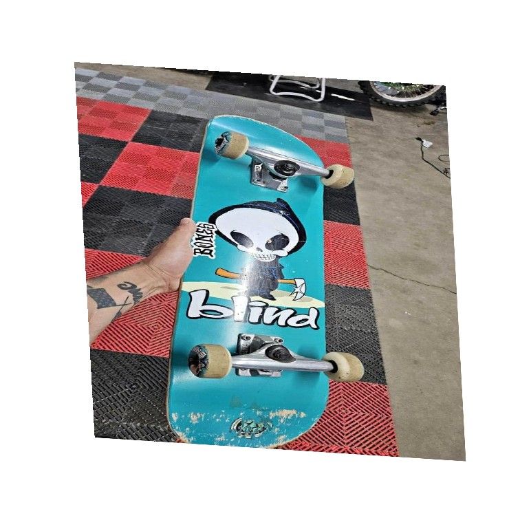 fund which Brand New Fresh Skateboard - Ideal for Thrill Seekers and Gentle Riders
