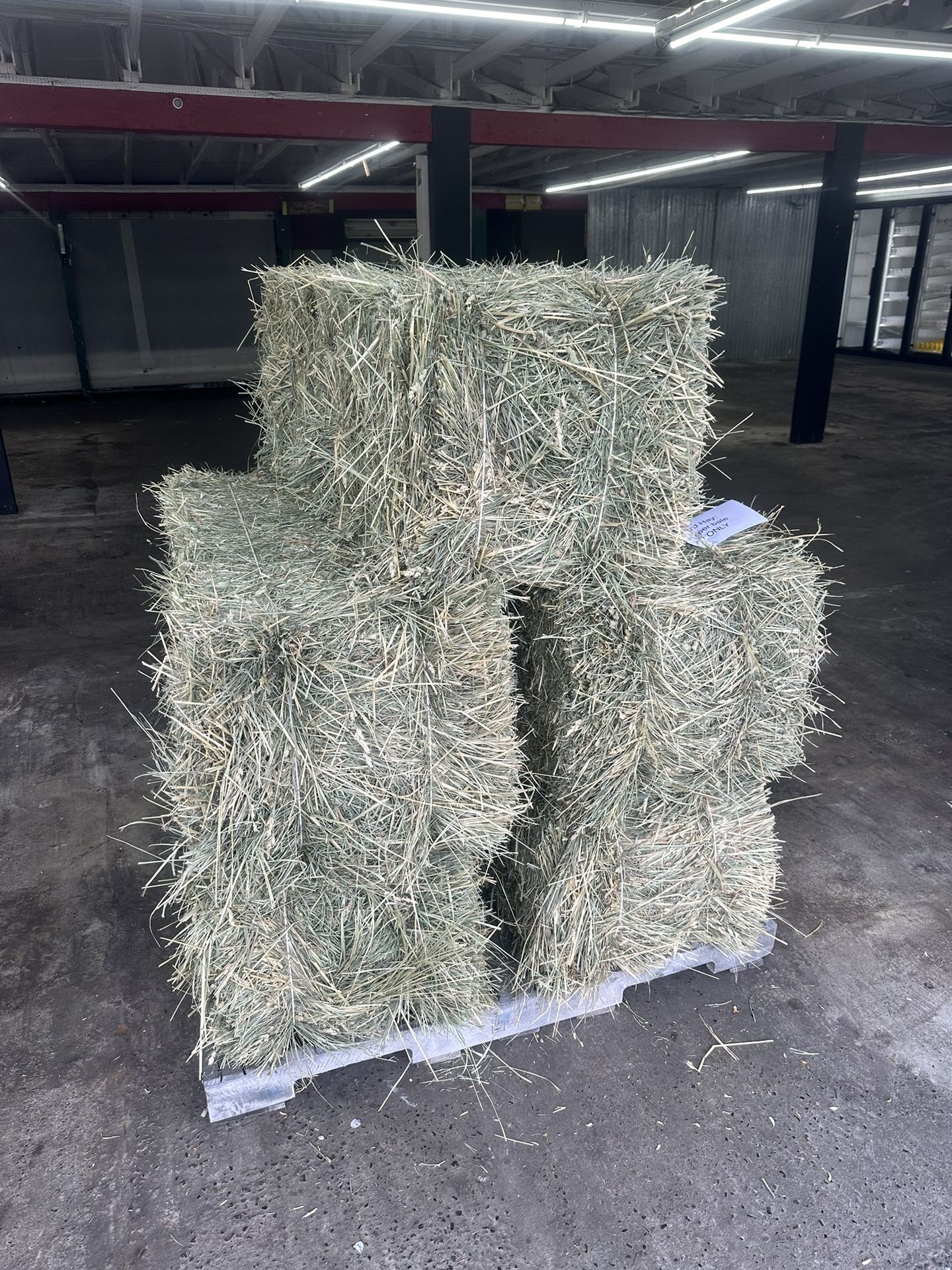 2 String Orchard Hay