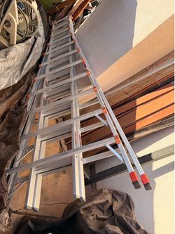 Ladder 24ft