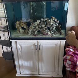 75 Gallon Fish Tank All In One 