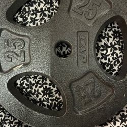 25 Pound Plate- Weight 