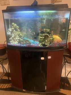 75 gallon fish tank