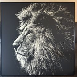 Lion Picture Wall