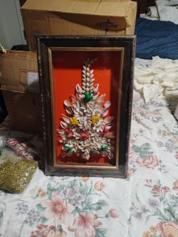 Shell shadow box