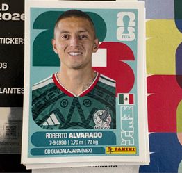 WC Panini Stickers