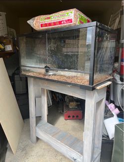 Glass Reptile Terrarium with Wooden Stand
