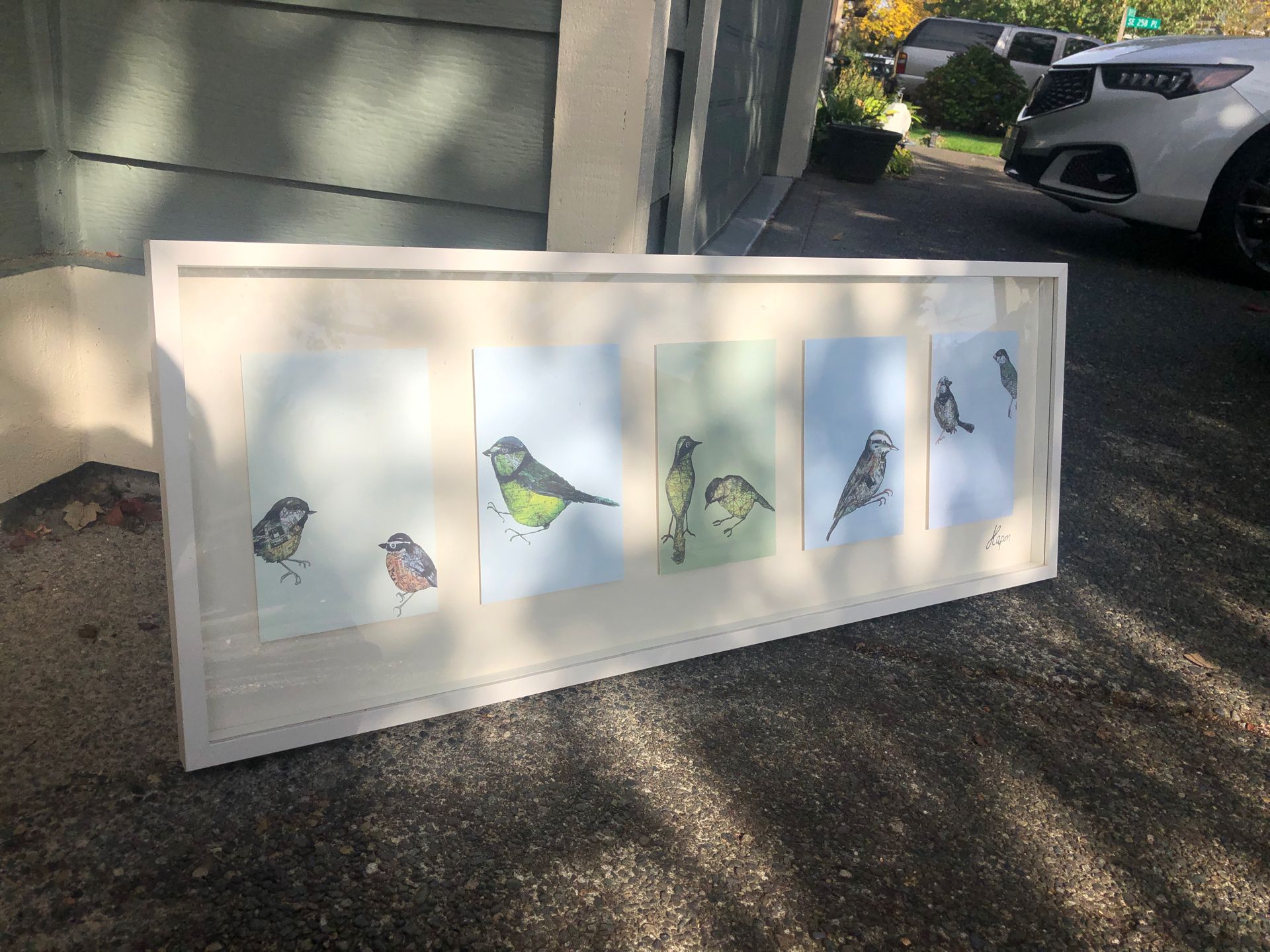 Bird Picture By: Kapon