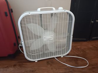 Fan