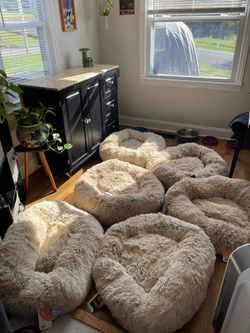 Brand NEW Unused Donut Dog Bed