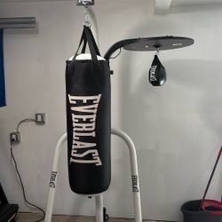Everlast - Heavy Bag & Speed Bag Combo