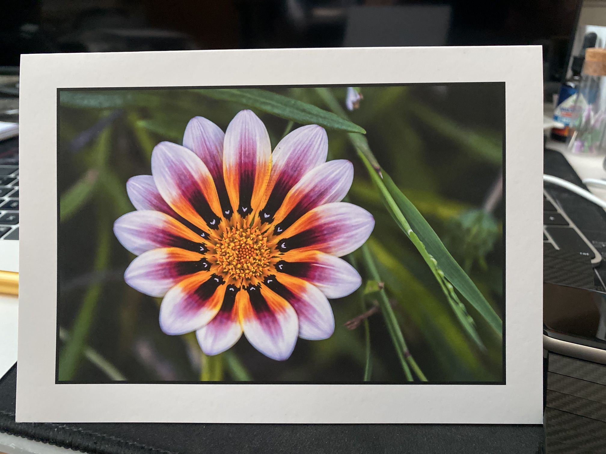Original Photographs