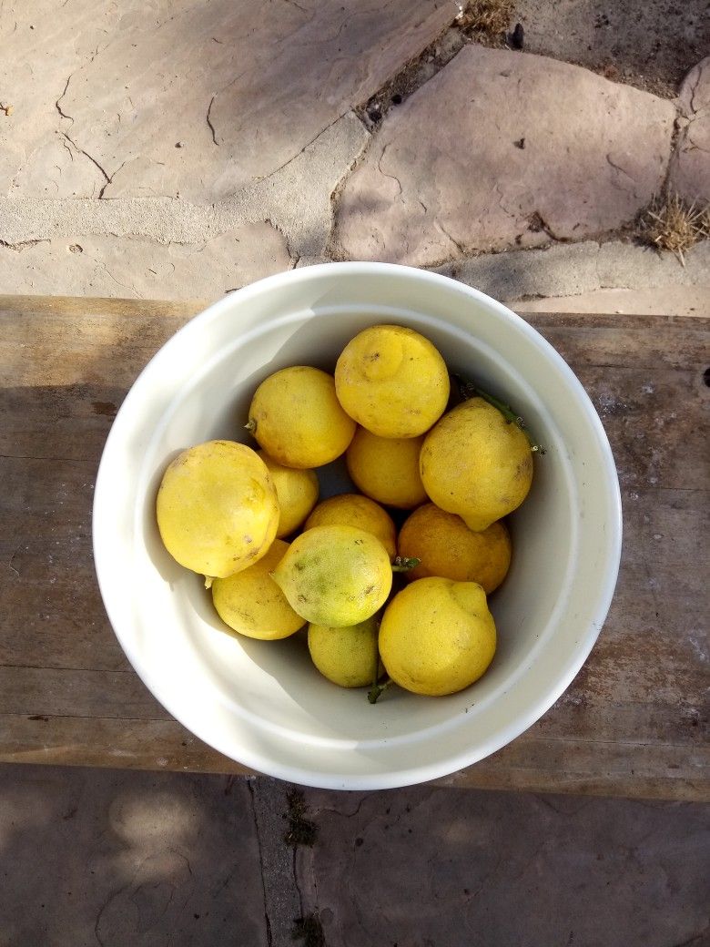 12 🍋 Lemons =5.$