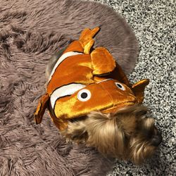 Nemo Halloween Outfit For Pets 